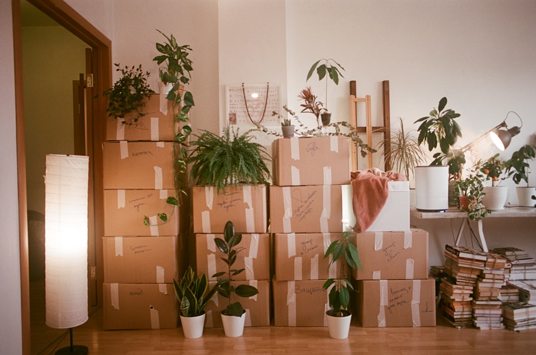 house moving checklist cartons